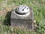 image of grave number 372502